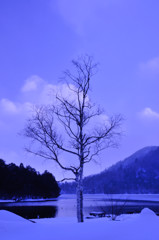 蒼い夕暮れ・・・湯の湖