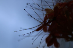 暗