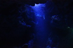 水中世界　その2