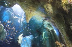 水中世界