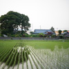 田舎