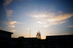 夕焼け