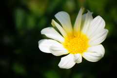 太陽光を浴びる