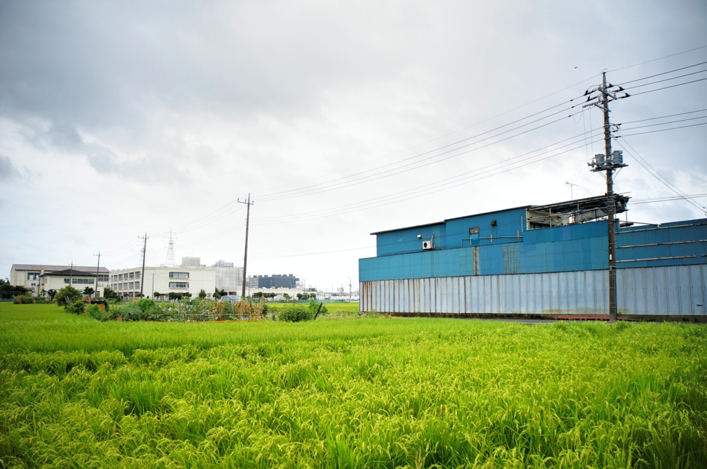 田舎#12