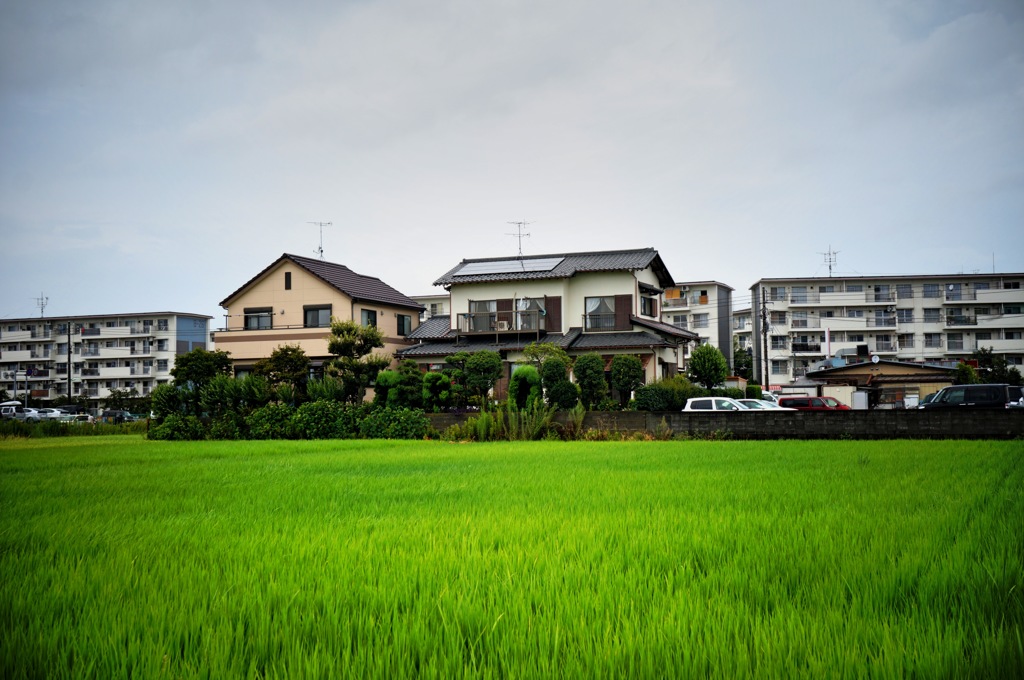 田舎#9