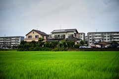田舎#9
