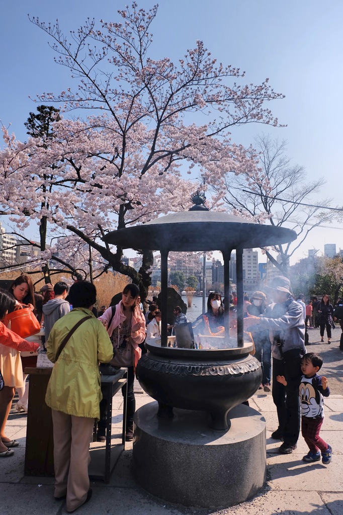 上野公園・2015年・桜＊15