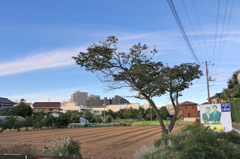田舎#6