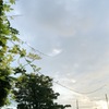 斜陽