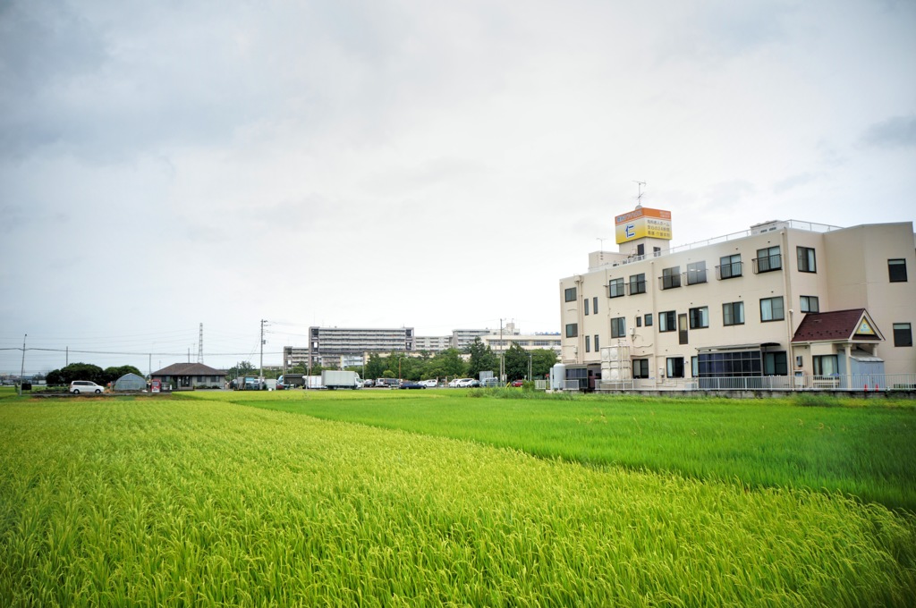 田舎#12