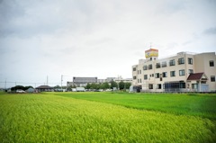 田舎#12