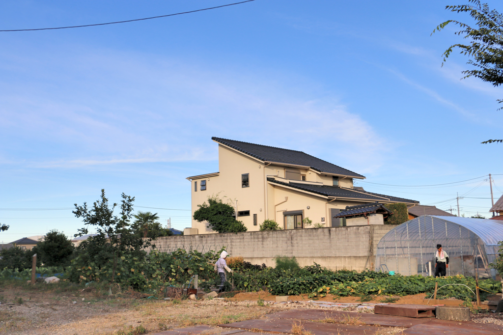 田舎#3