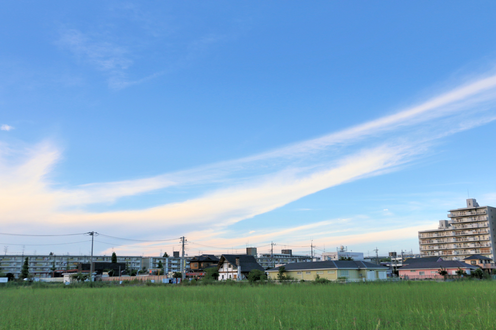 田舎#8