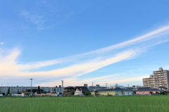 田舎#8