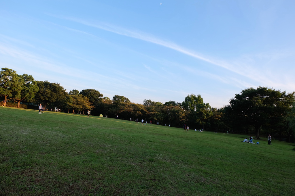 芝と空