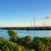 中川・沿岸景色#15