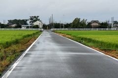 田舎#11