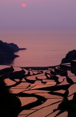 浜野の浦棚田