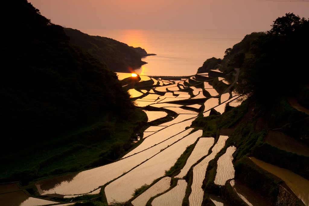 浜野の浦棚田2