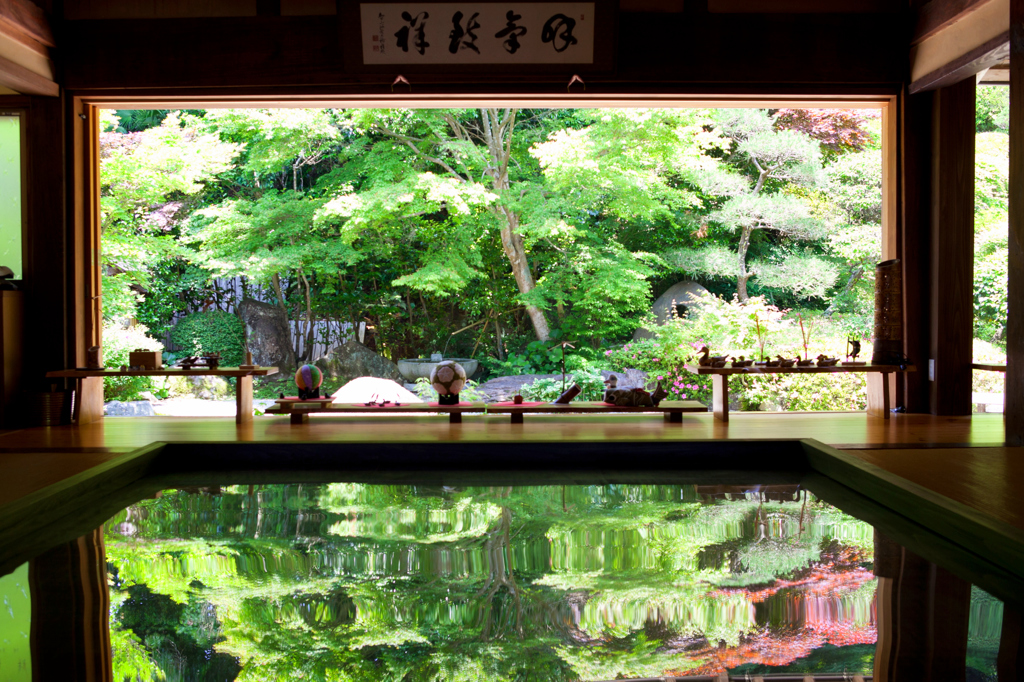 新緑の壽福寺