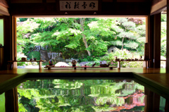 新緑の壽福寺