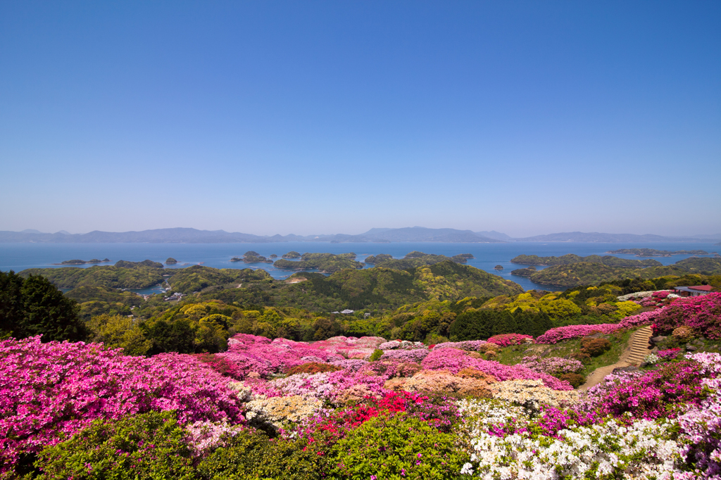 九十九島とつつじ