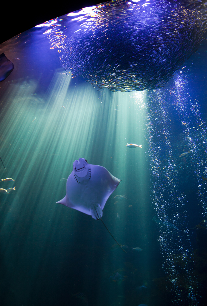 水族館