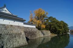 DSC00972