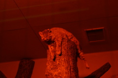 DSC01355