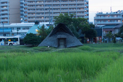 登呂遺跡