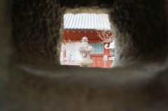 面白いショット