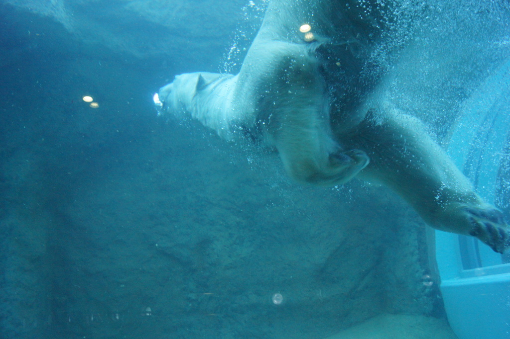 DSC02190