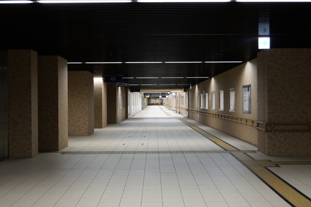 静岡の夜は早い