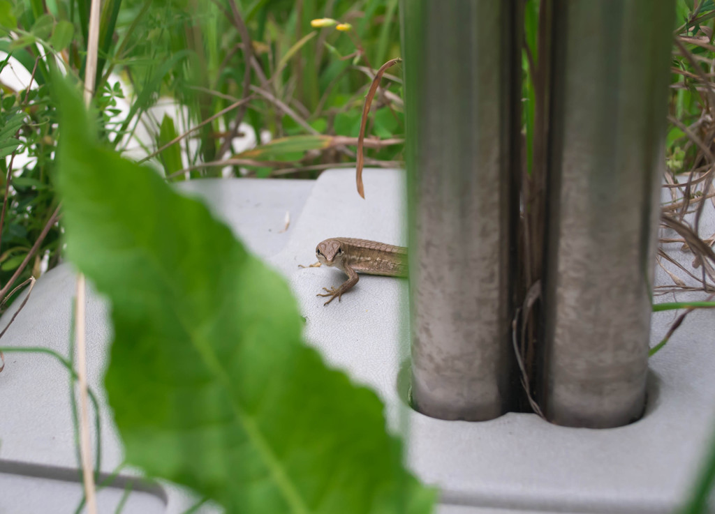 あ
