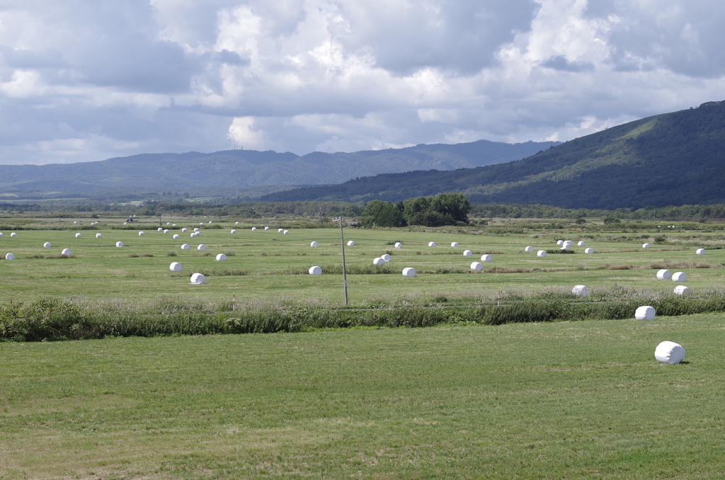 「2014北海道」