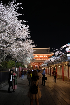 浅草寺（仲見世）