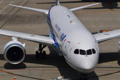 ピッカピカ（JA811A)
