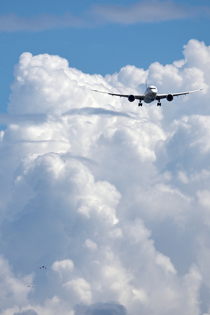 夏の空