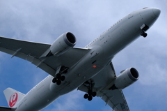 JALの787を切取る