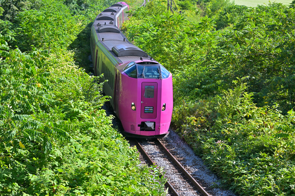 はまなす編成