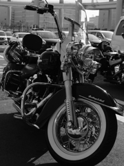 パーキングで見かけたカッコイイバイク（HARLEY DAVIDSON)