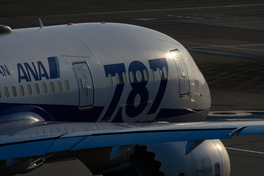 787ロゴあり
