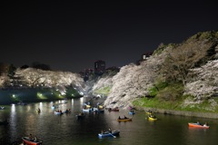 千鳥ヶ淵（展望台）