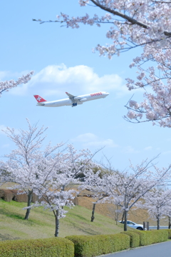 さくらの丘公園①