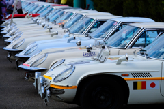 COSMO SPORT