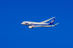 787捻り