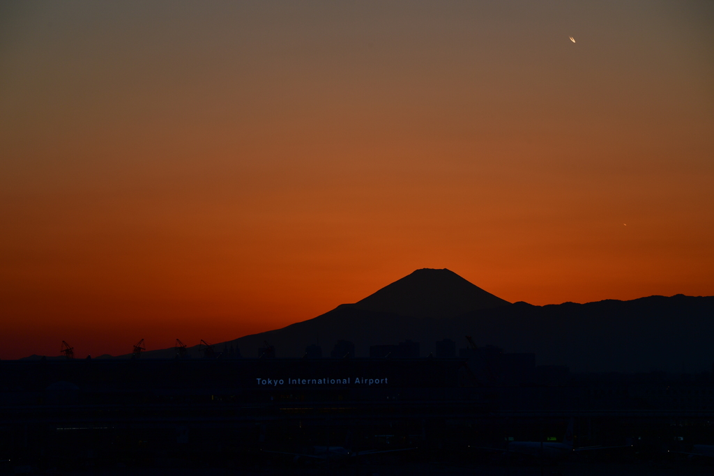 Tokyo International Airport