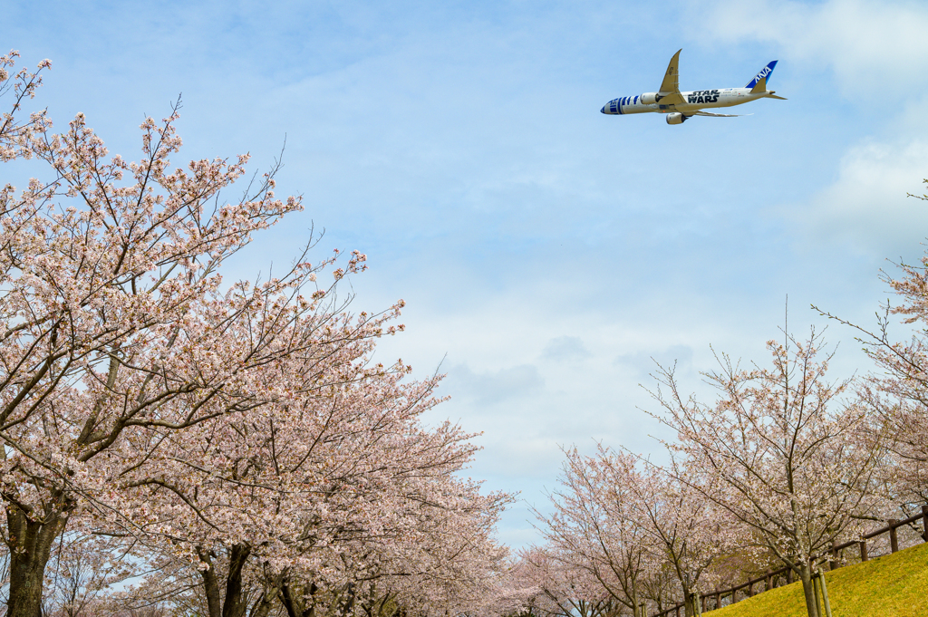 桜の季節に