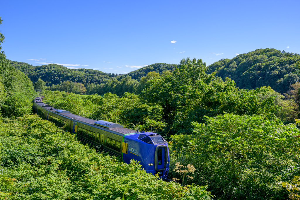 夏の宗谷本線