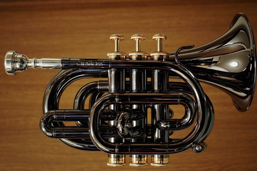 ポケットトランペト